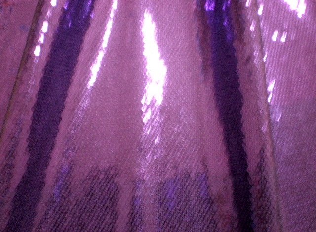 15. Purple Stage Line Sequins